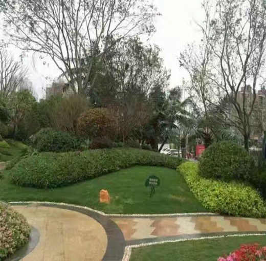 某小区绿化